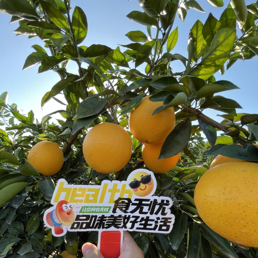 食无忧优选小时达