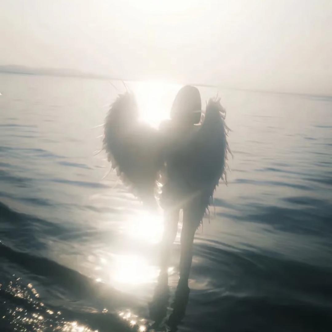 太好了是鱼丸我们有救啦