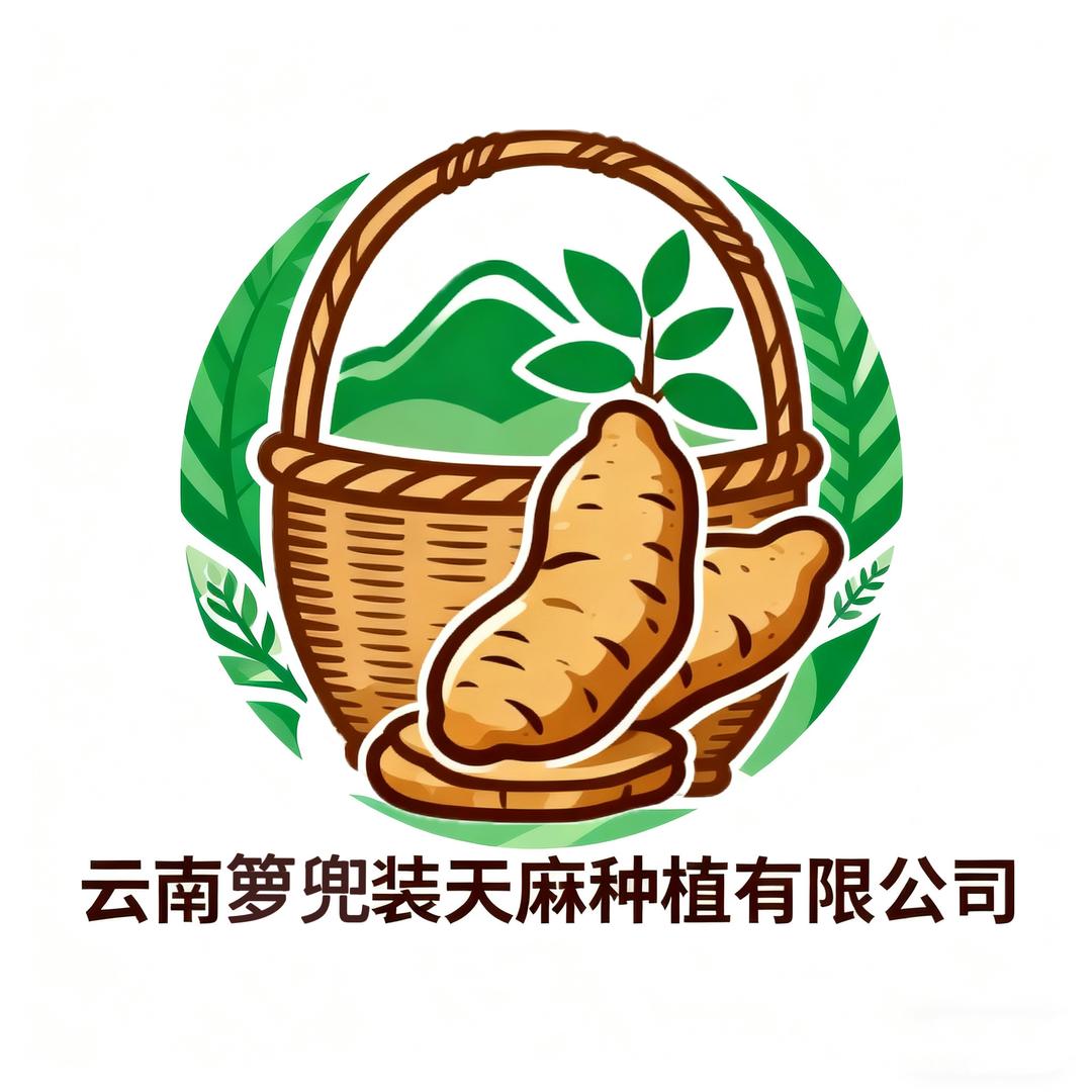 云南箩兜装天麻