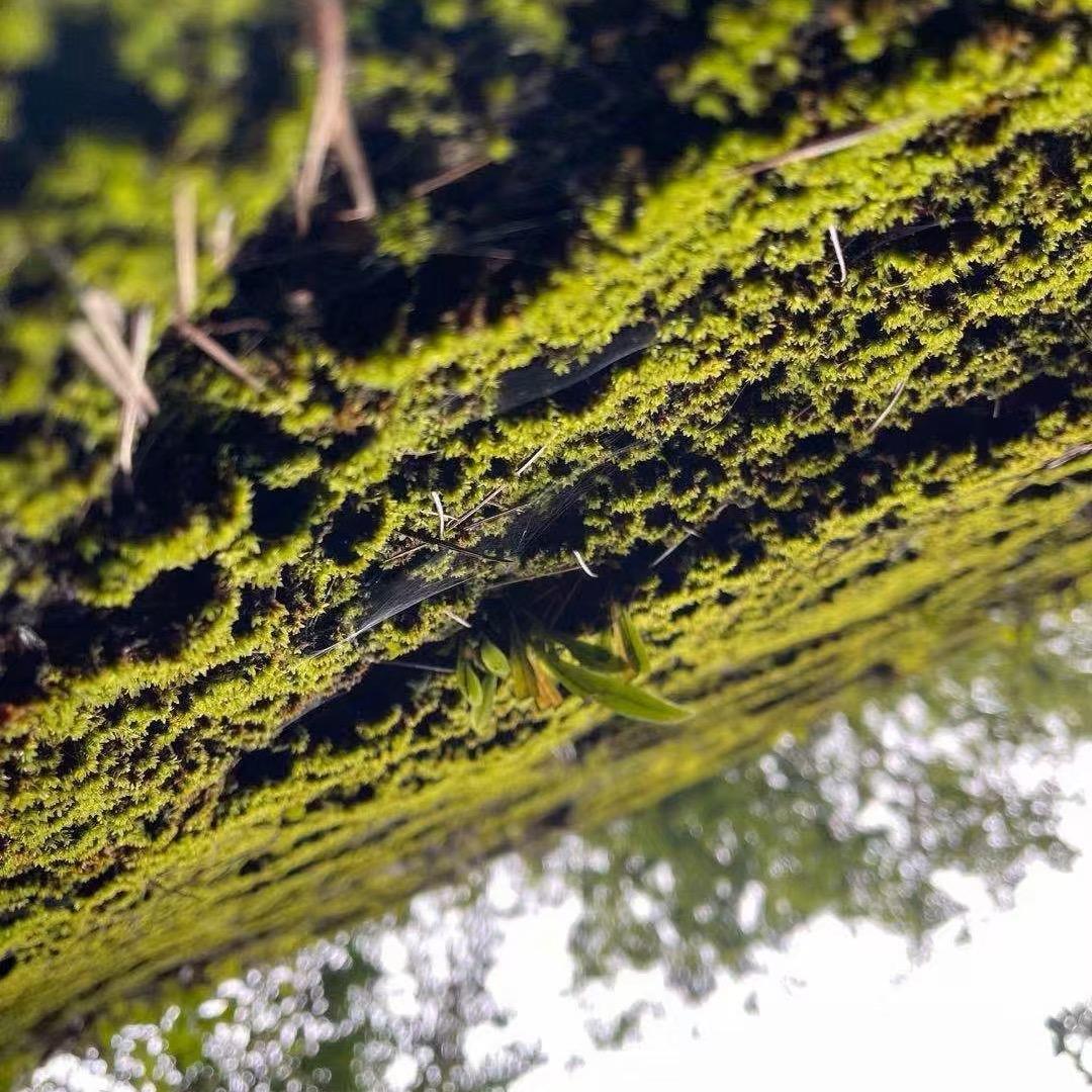 李享记广式烧腊