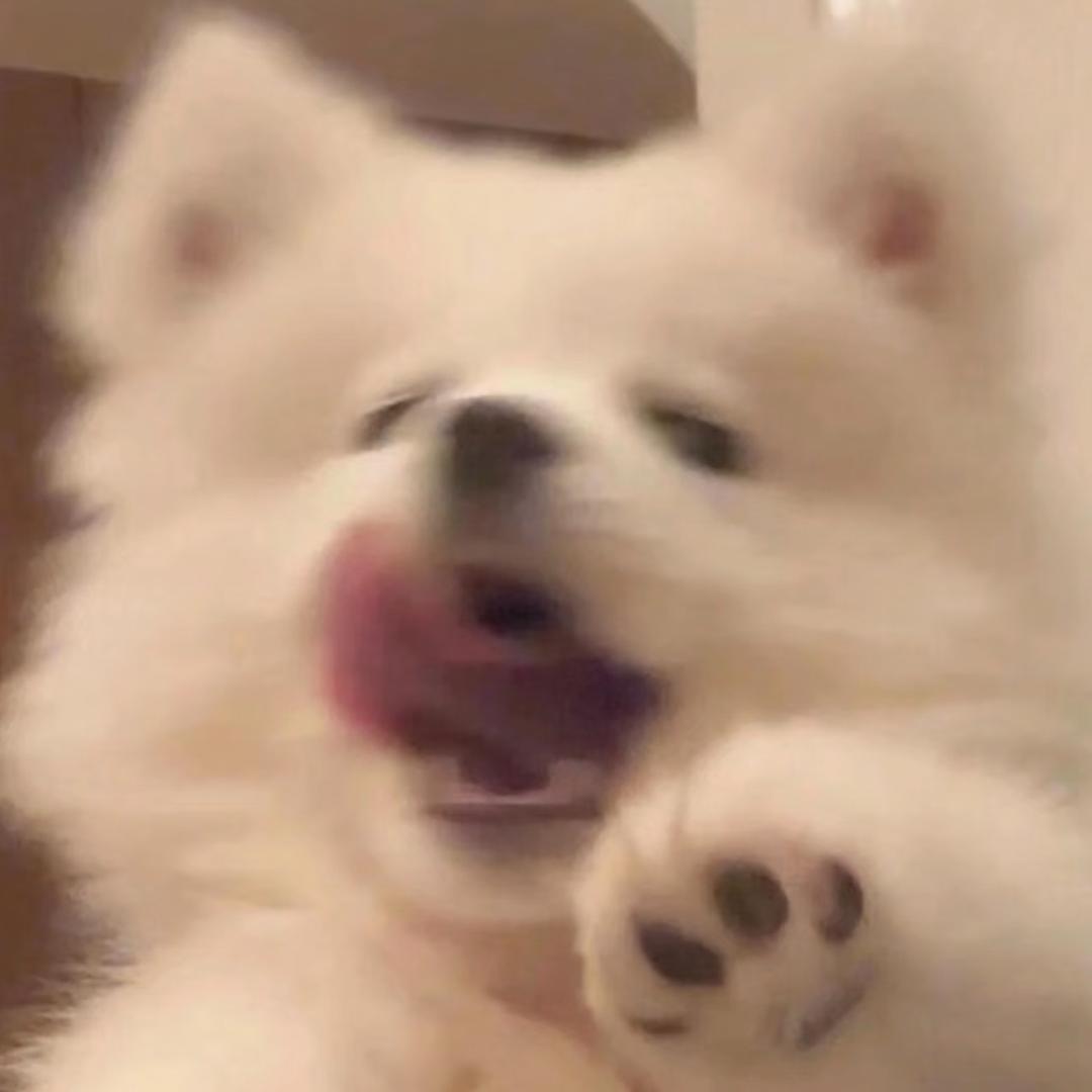 ♡ʕ⸝⸝⸝˙Ⱉ˙ʔ ♡..