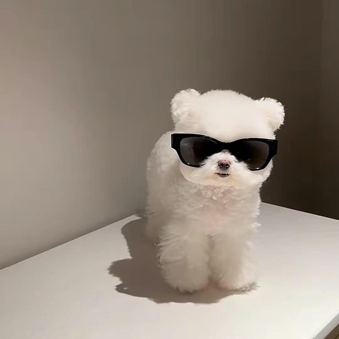 高兴不