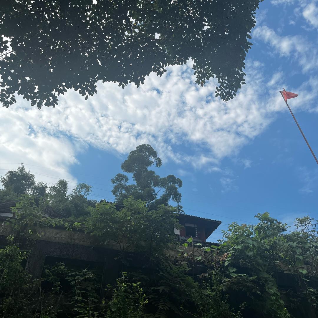 吴风