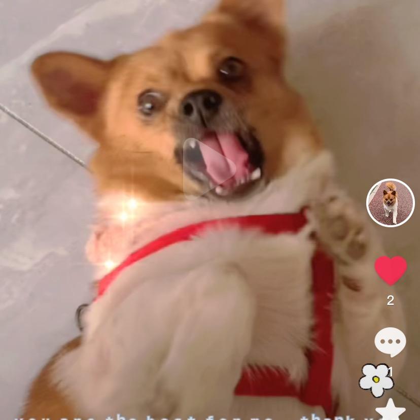 萌萌萌哒博～（6年之约）（2031）