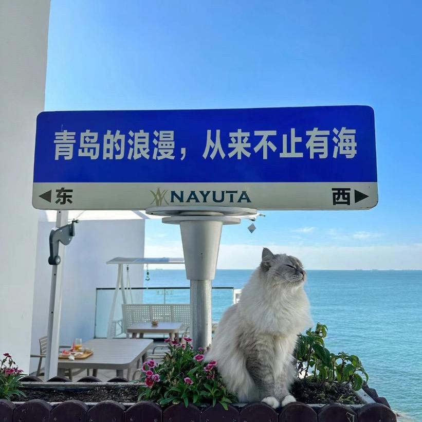 王哪跑短剧