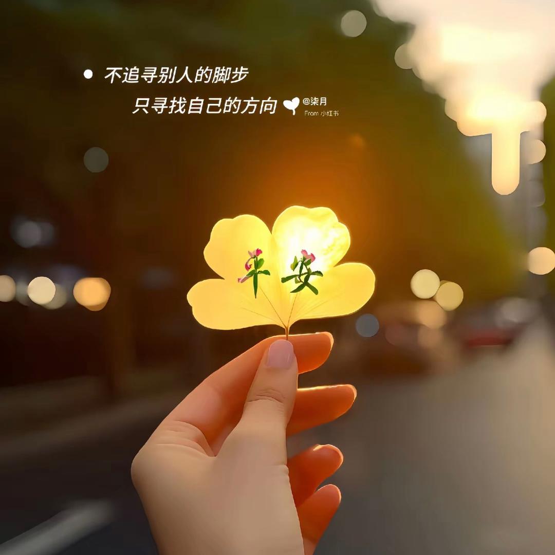 萍水相逢!