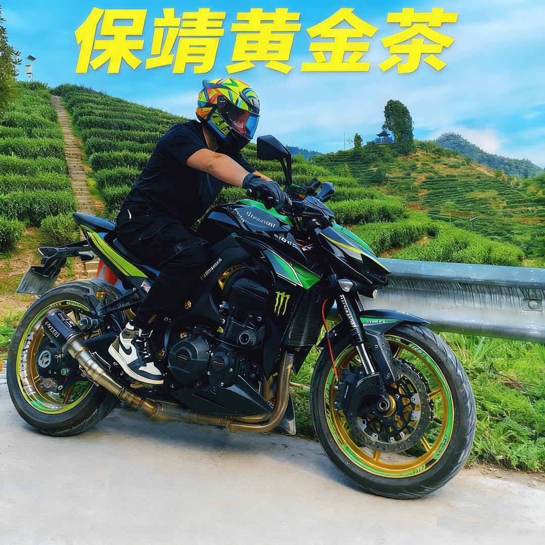 热爱生活热爱机车(保靖黄金茶)