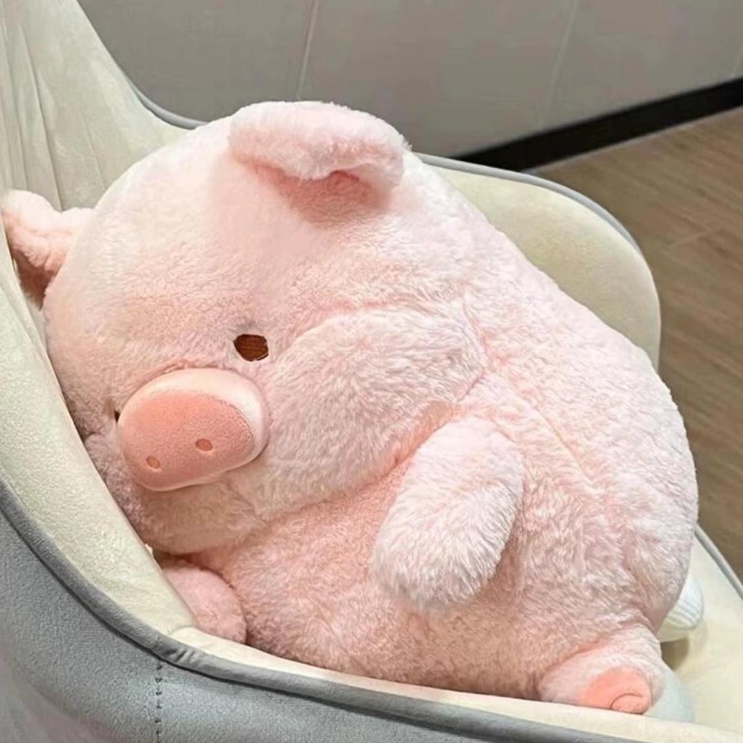 朱朱୧⍤⃝