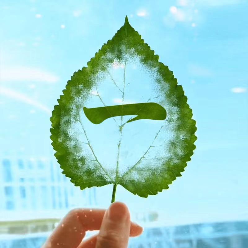 牵着蜗牛去散步