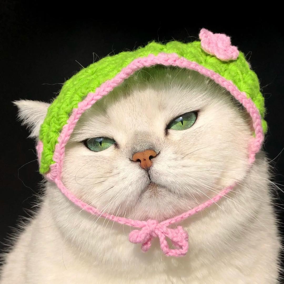 𝗠𝗮𝗸𝗮𝗯𝗮𝗸𝗮
