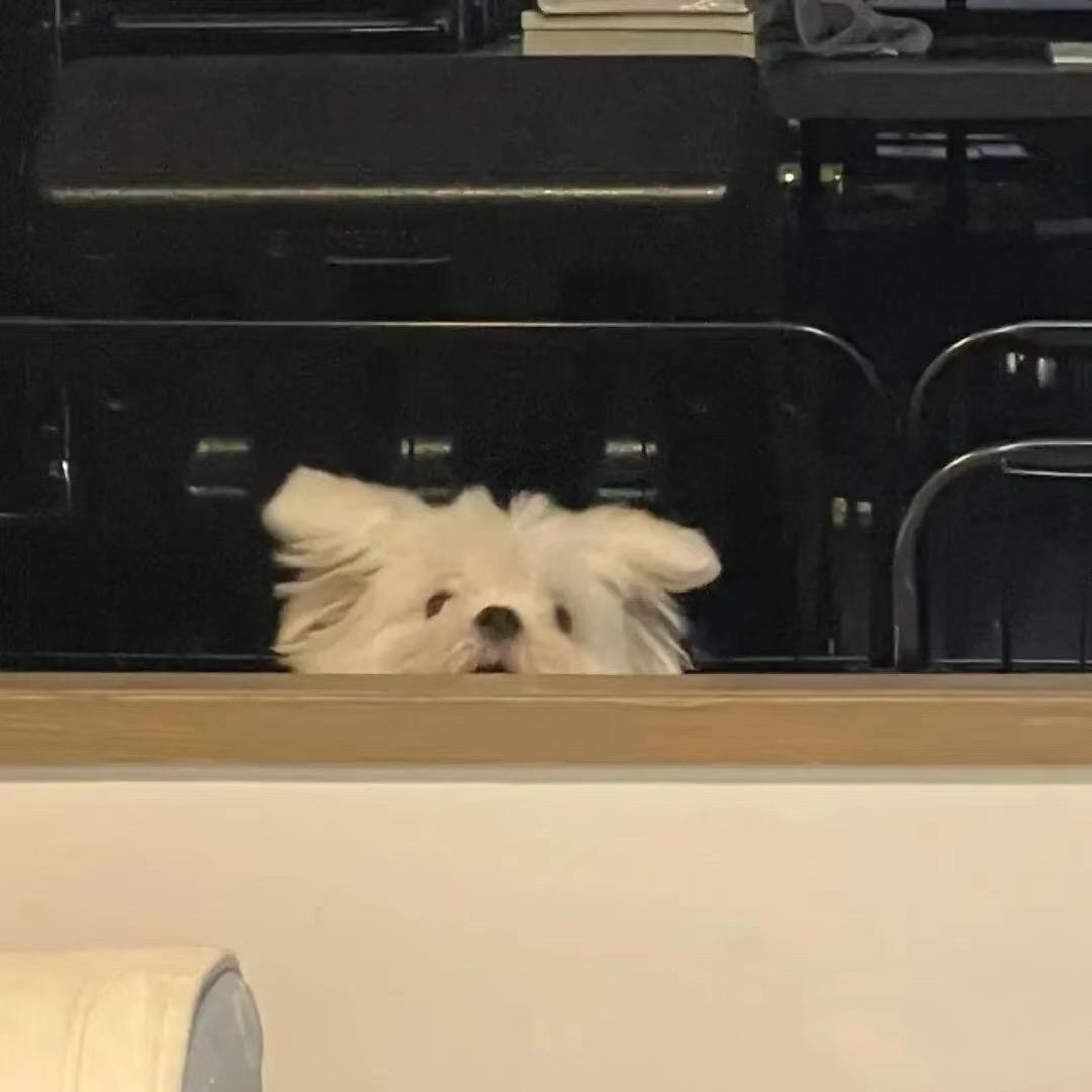 过来帮我搭把土ʕÖʕÖʔ