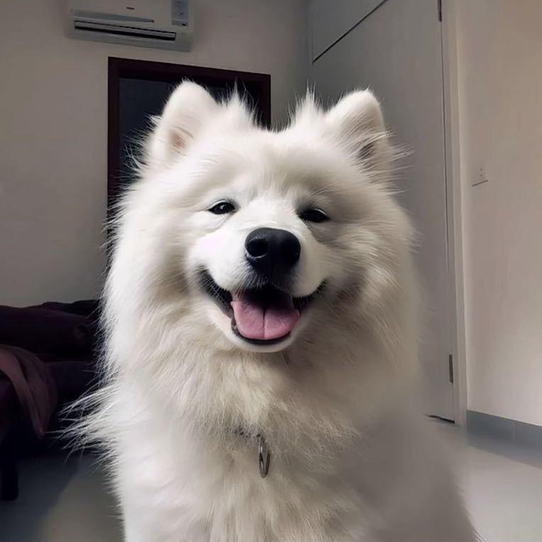 刘付（找房达人）🏠