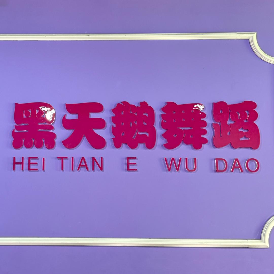 黑天鹅艺术学校5