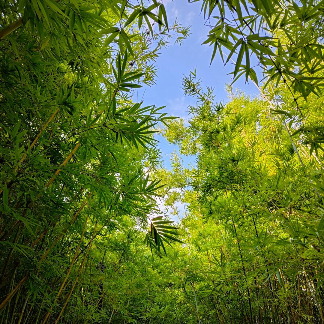 u圳好