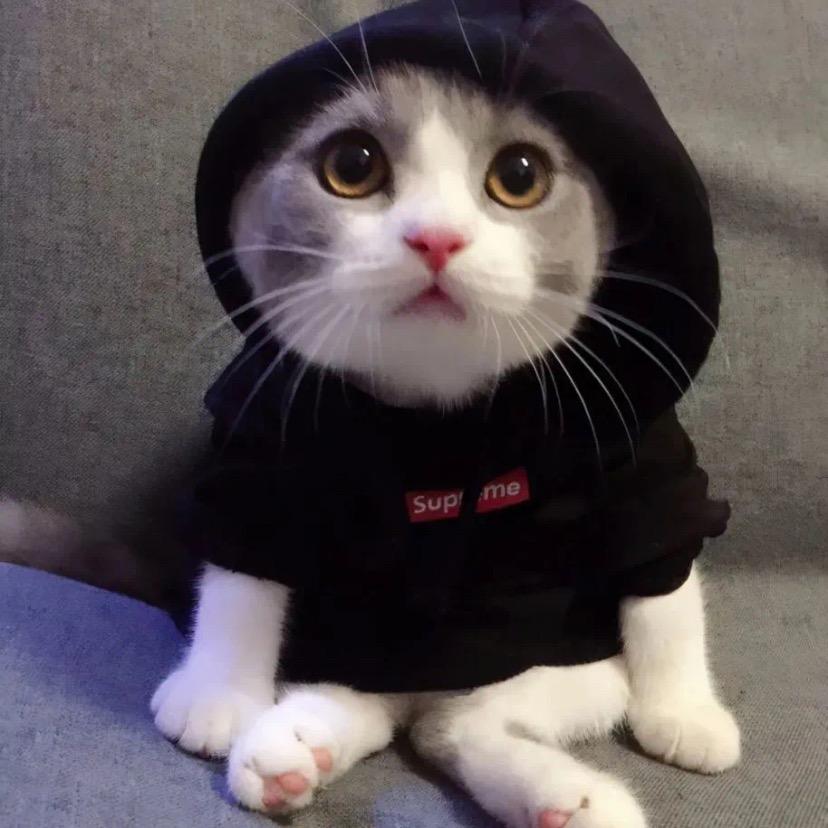 💝姐姐喜欢唱歌🎤💝