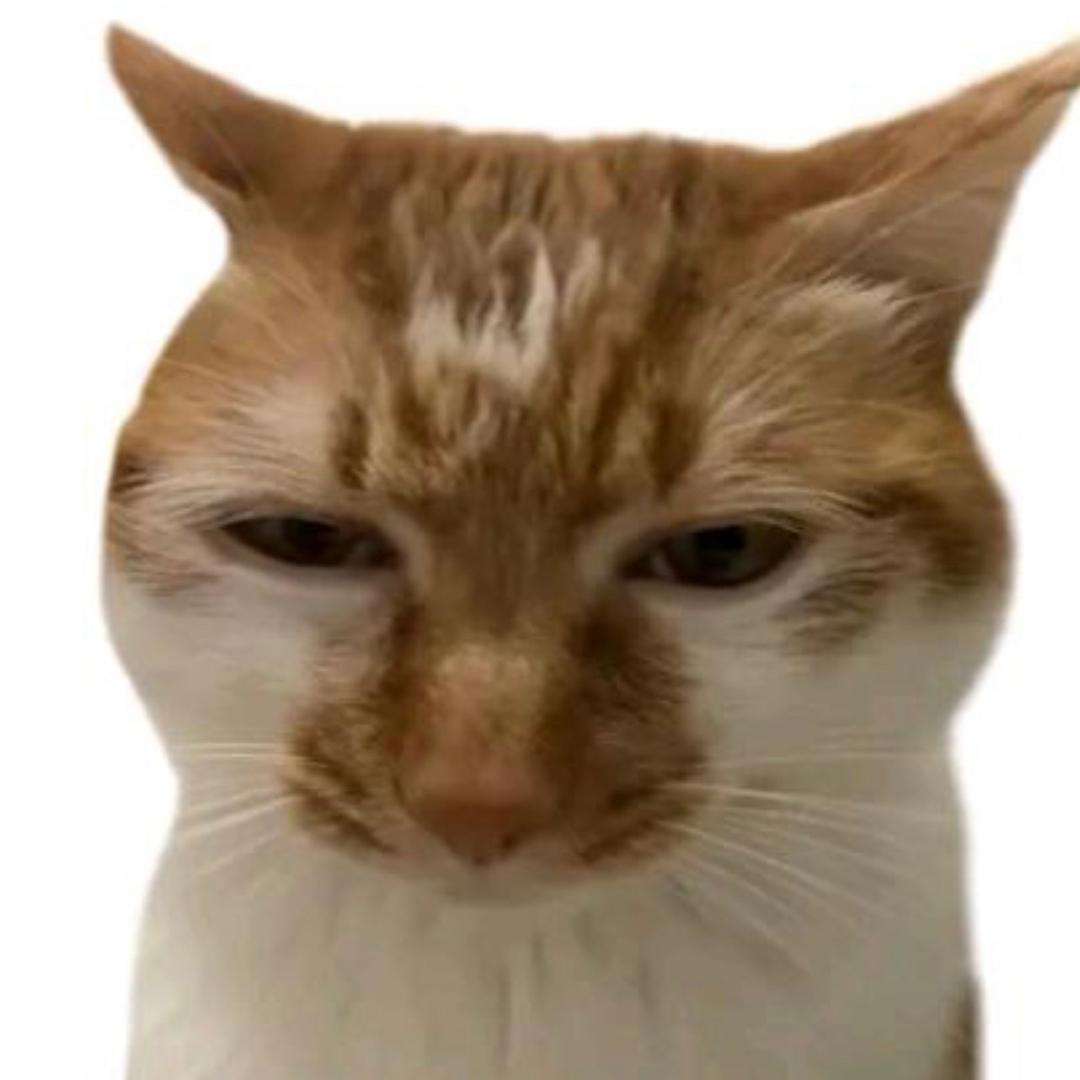 韵等鱼