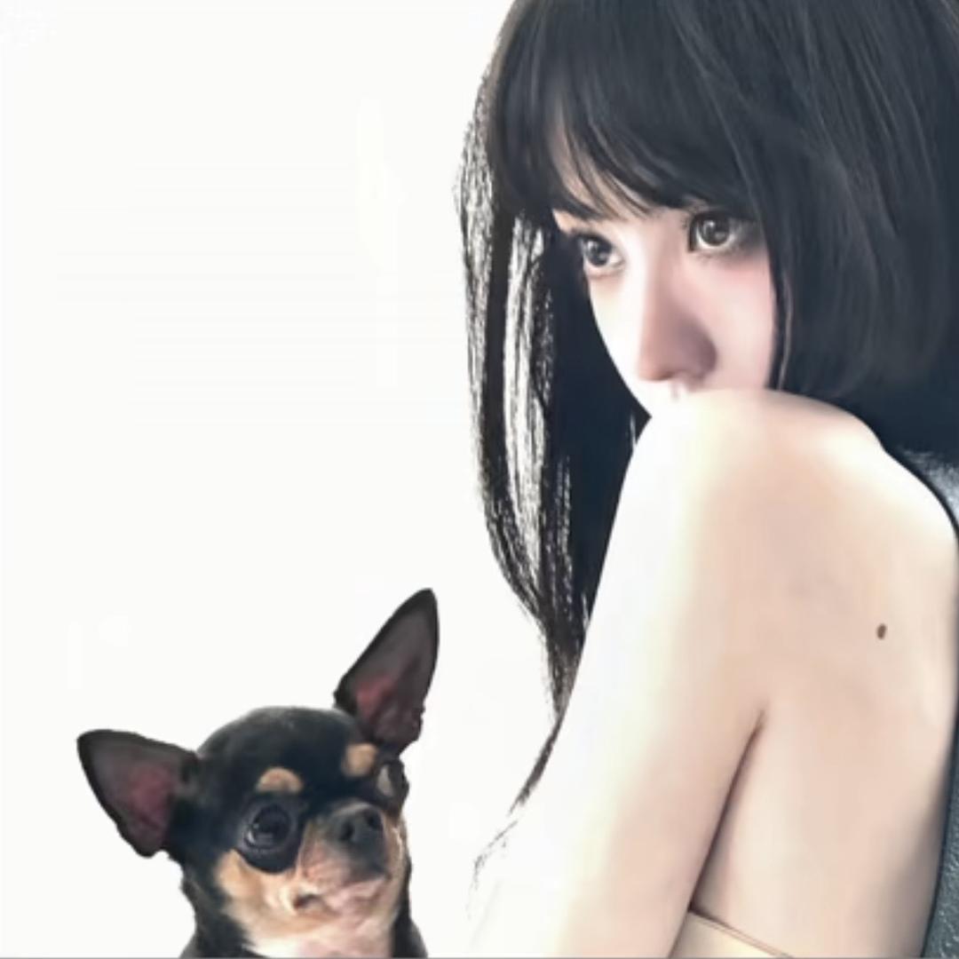 内向的香菜🥖·.·🌭