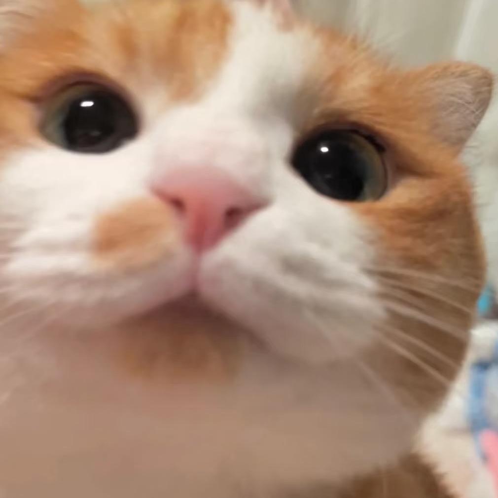 萤火