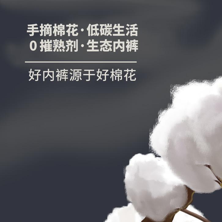 棉地图企业店
