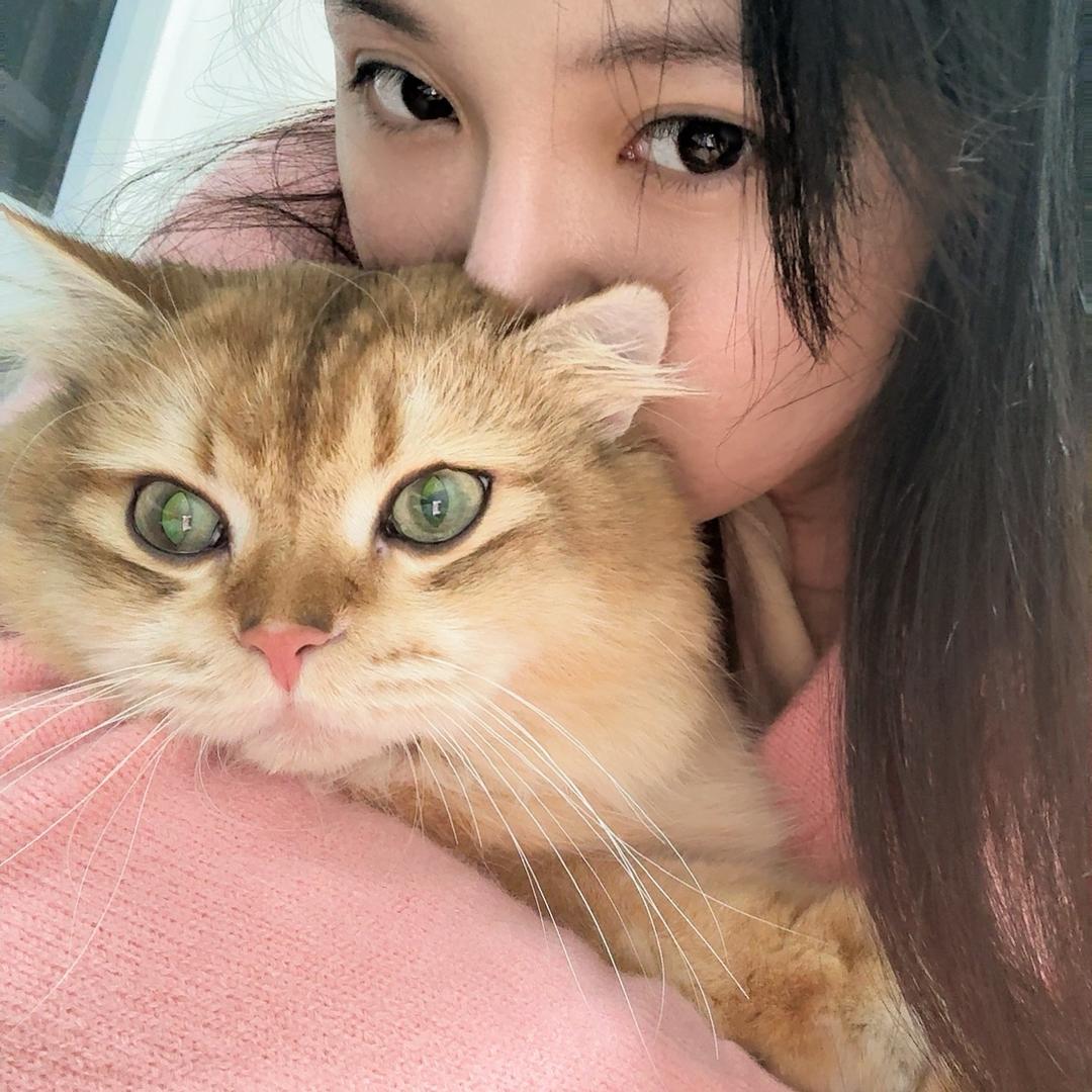 阿八的小可爱