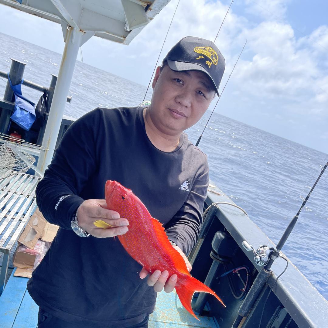 宝鼠|X5销售中心