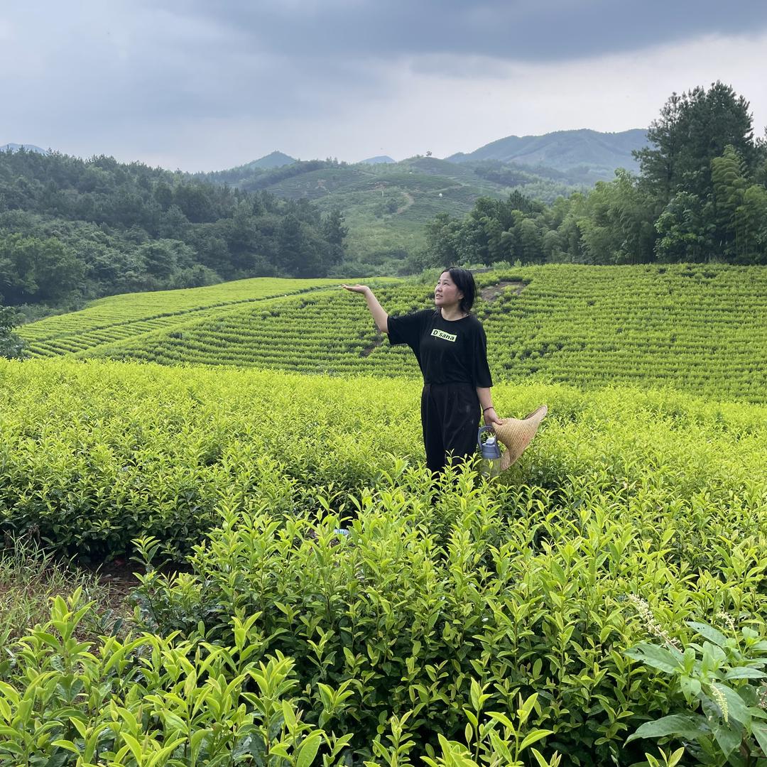 皖南山区小殷土特产