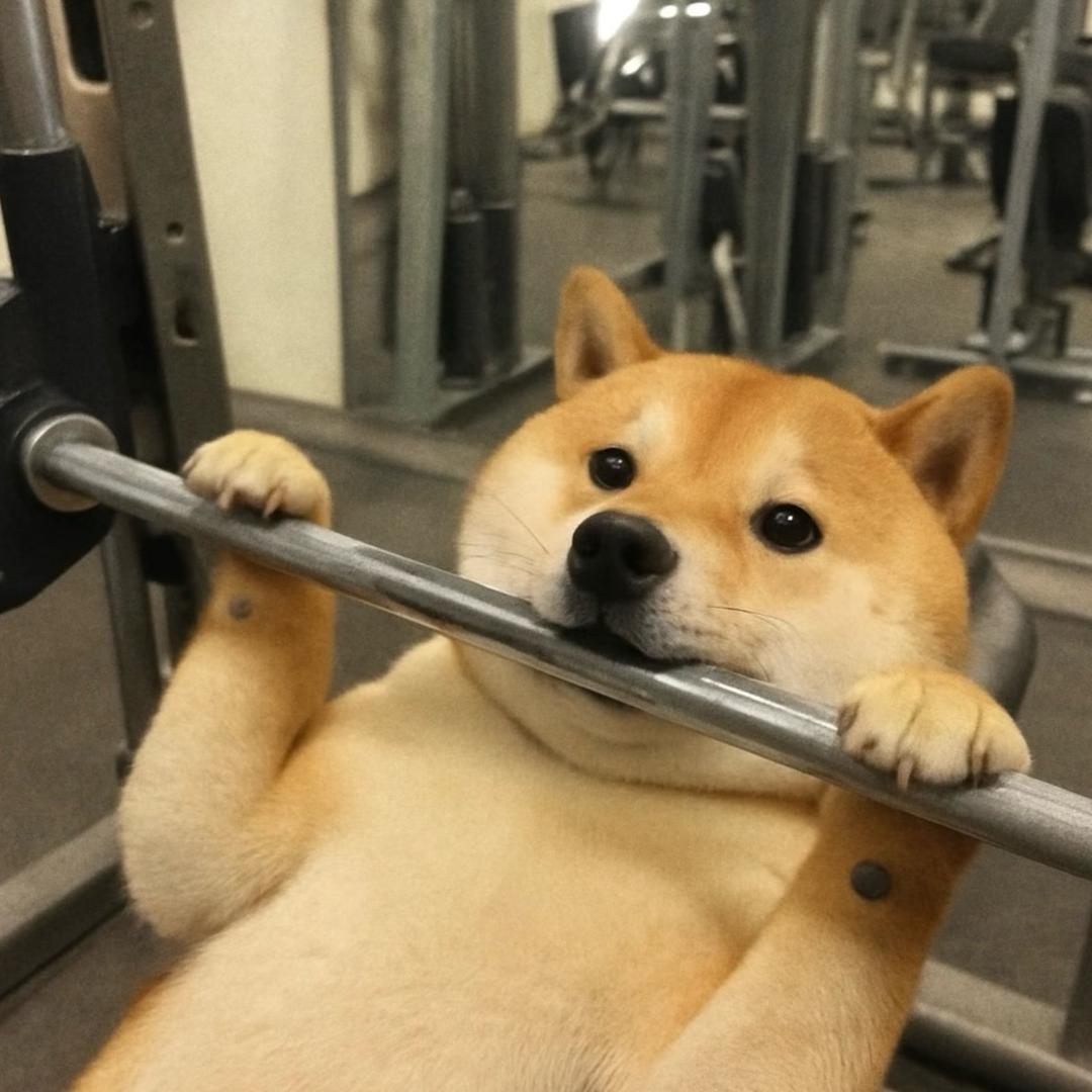 蟹蟹蟹蟹蟹老板.