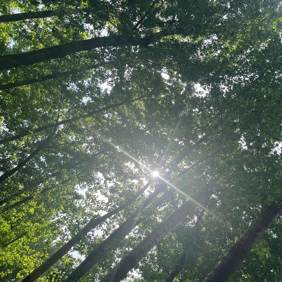 你别吵，我很好