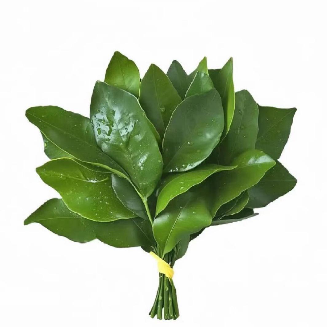 刘小梦呀！