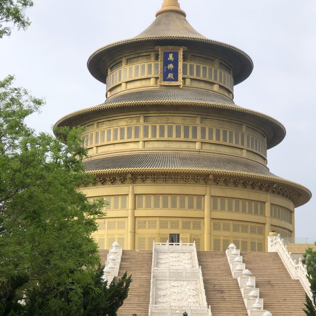 悲欢自渡