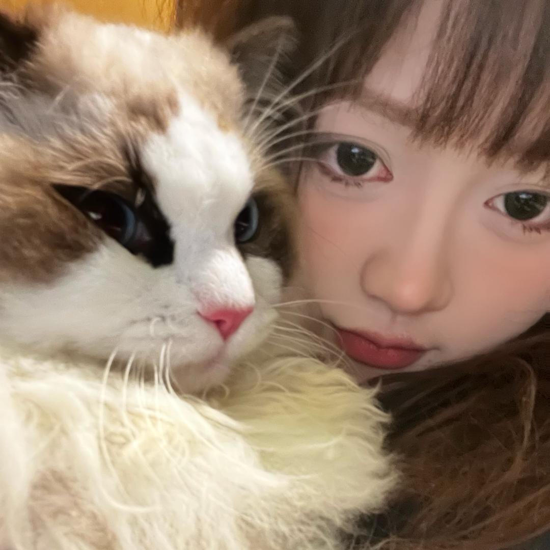 甜琳
