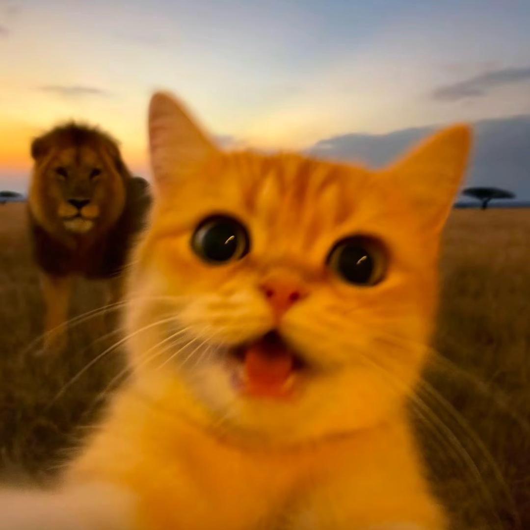 刘莎莎黑金店🎱·楚敏