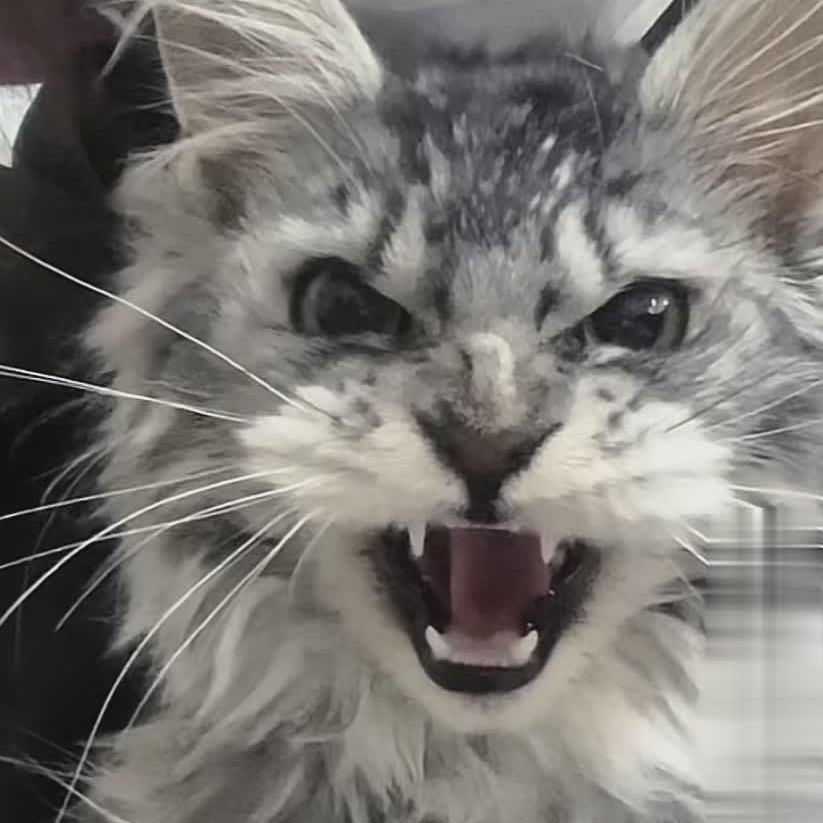 蝎🦂子🦂莱🦂莱🦂