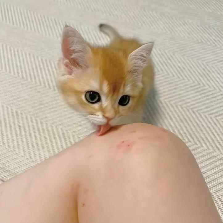 吸吸