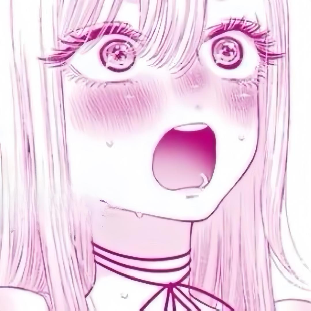 猫奴