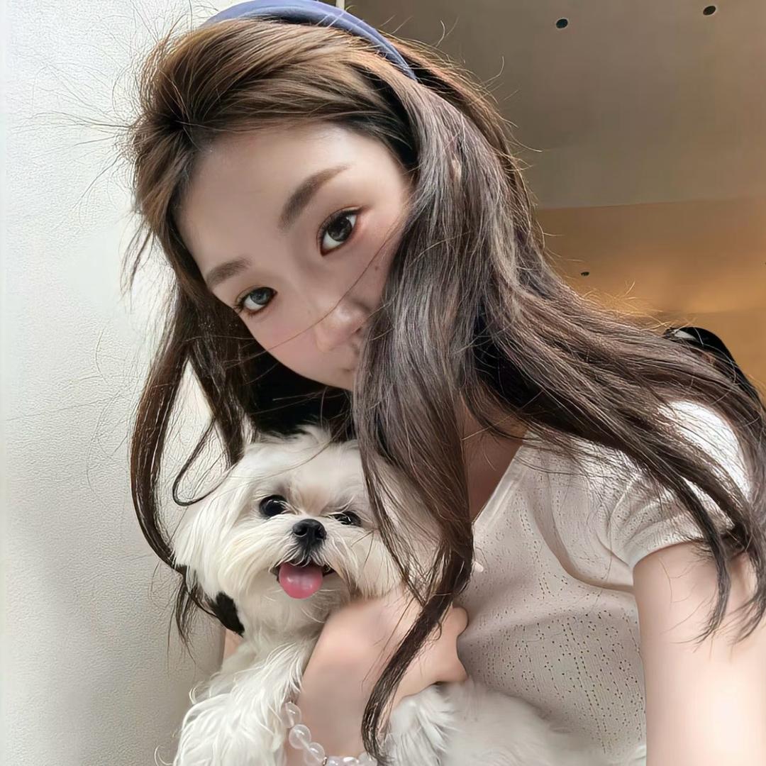 文文🐰