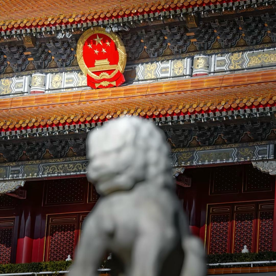 时不我待先摸鱼🐟