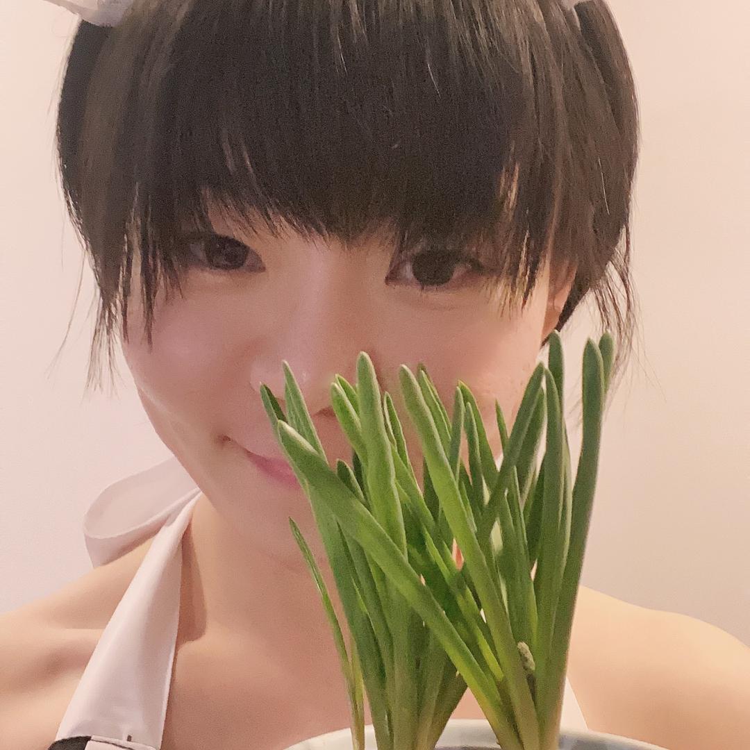 白鹭