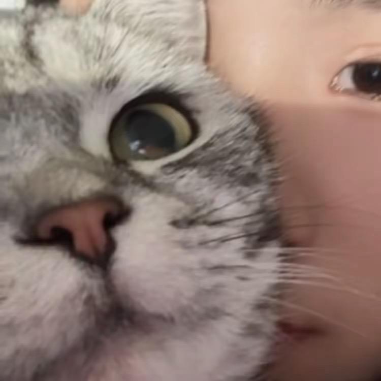 皮球
