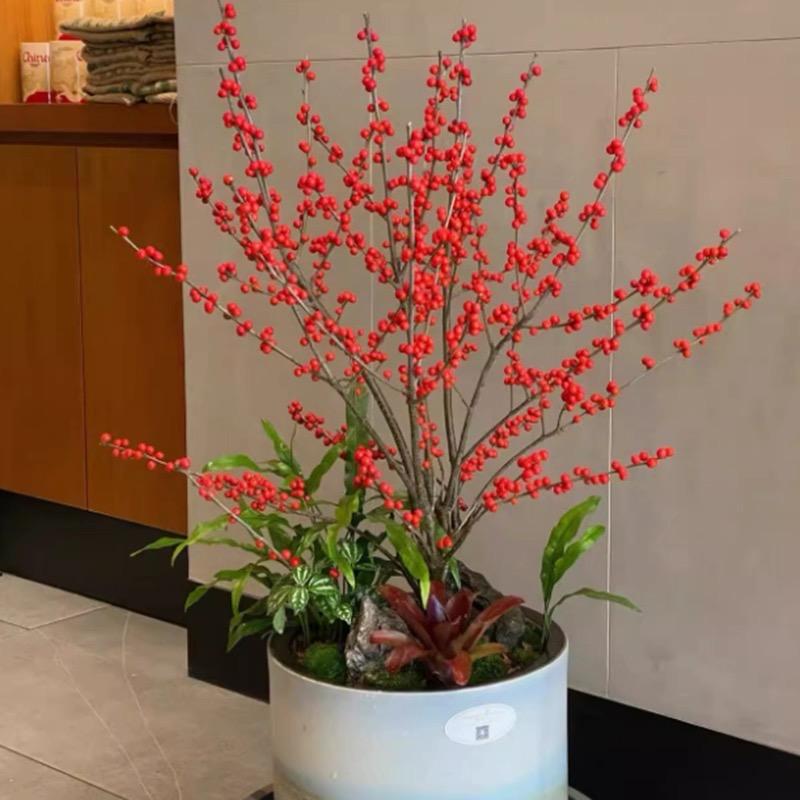 思青花卉坊