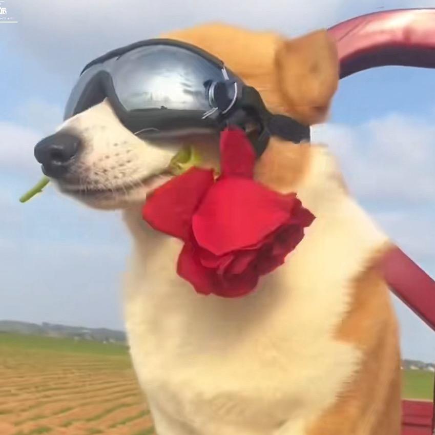 芜湖金牌飞行员