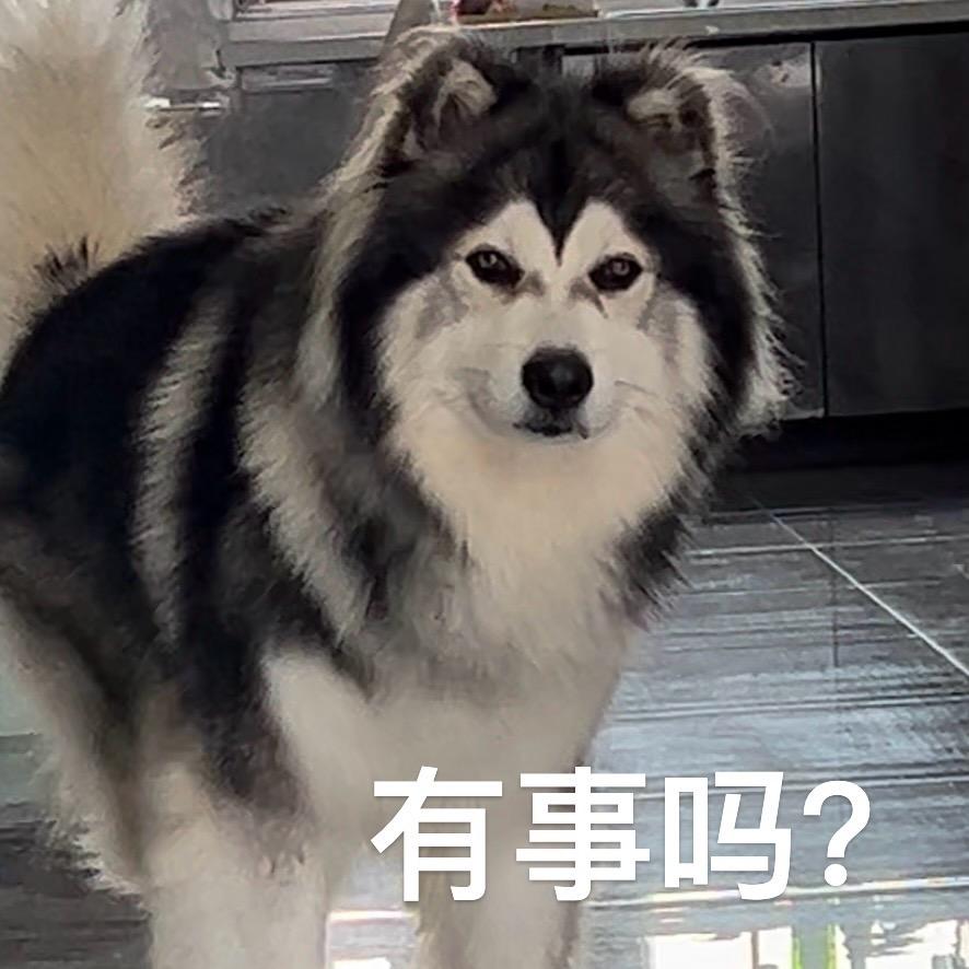 好惊喜