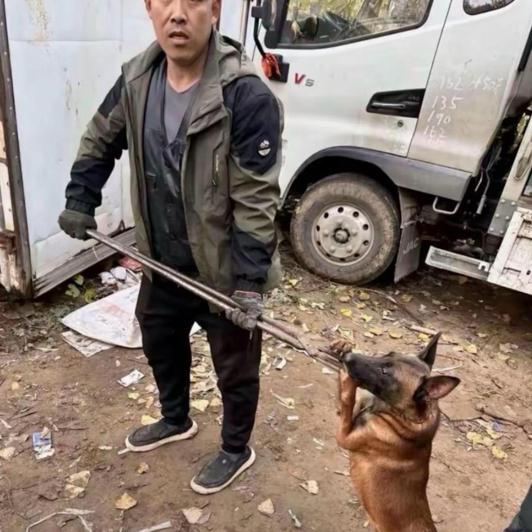 AAA专业套狗牛师傅