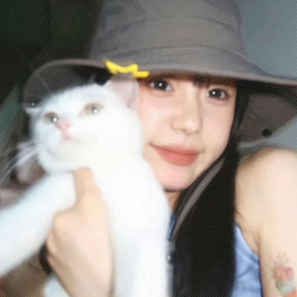 范县刘亦菲