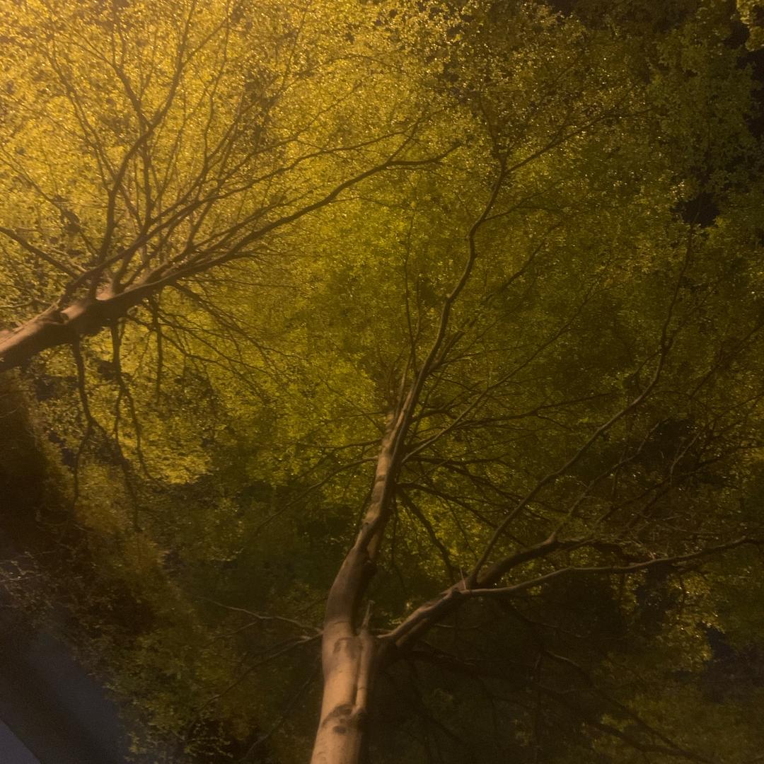 “落差感”
