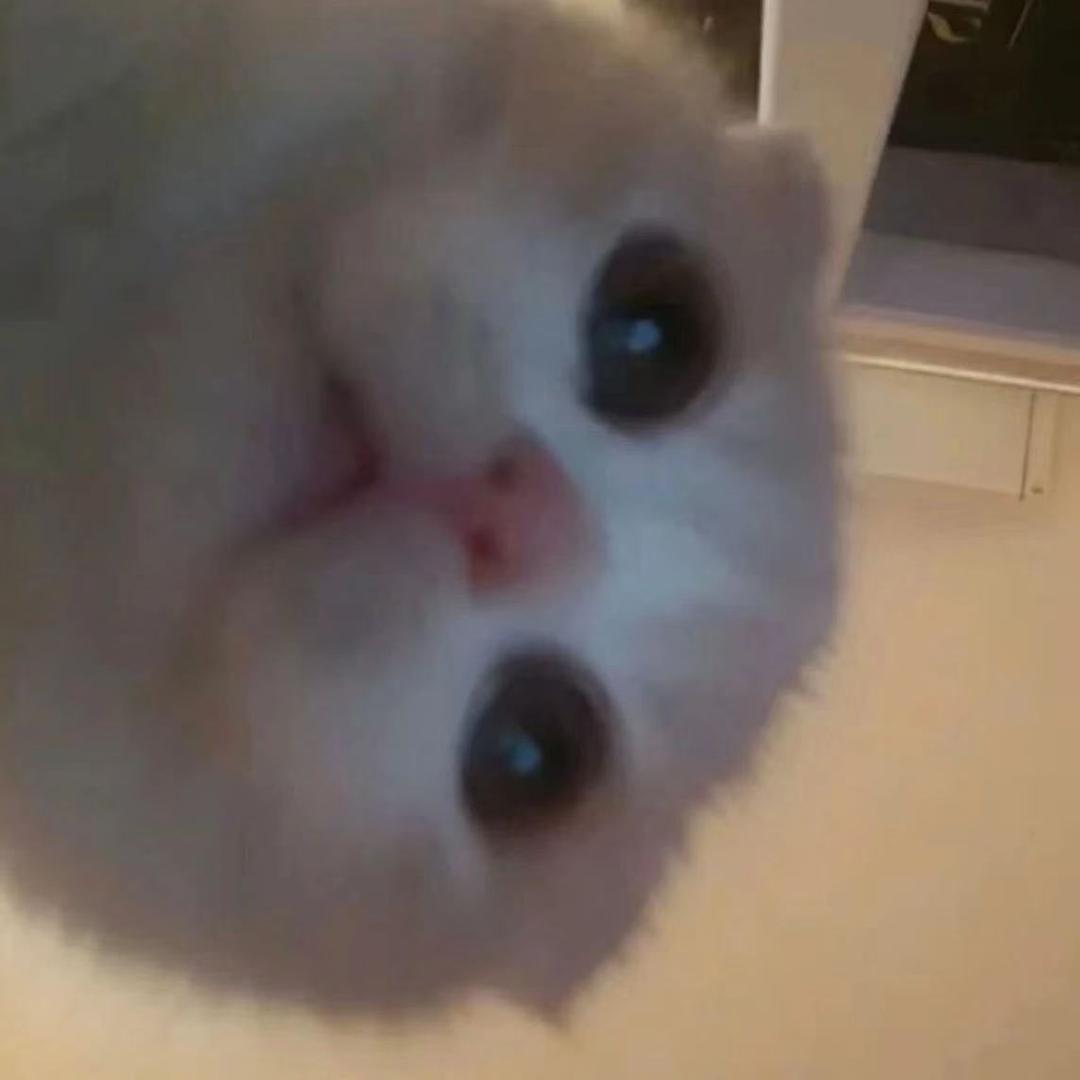 小梨椰