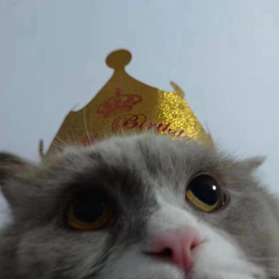 旋转几轮变成我们绝密航天给我起可食用厕纸