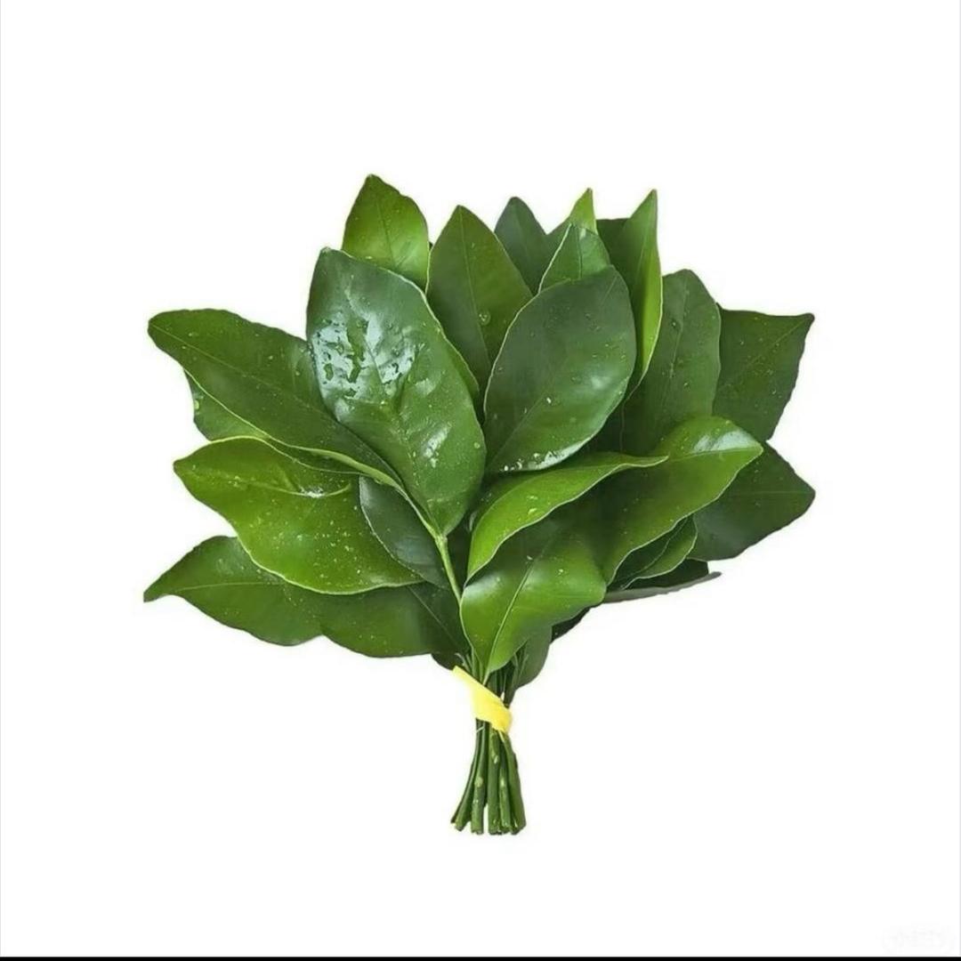 L🌸