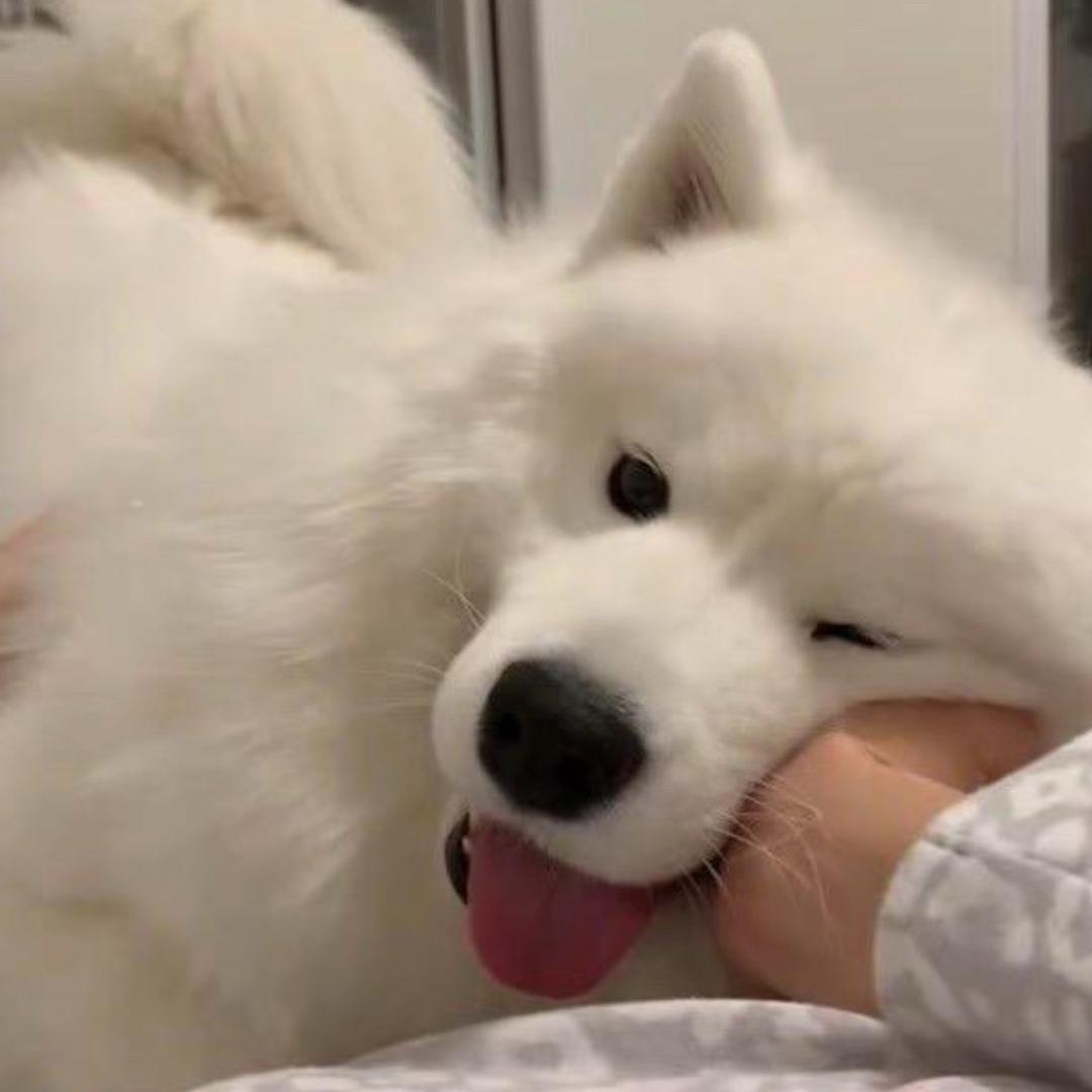 忧郁的学生党