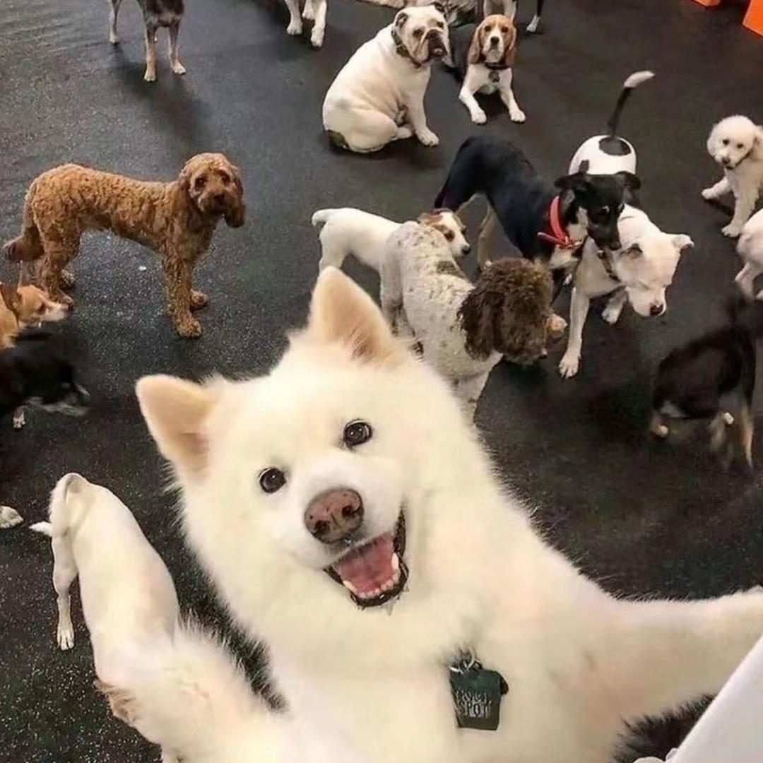 小怡不想睡⁵⁵⁵